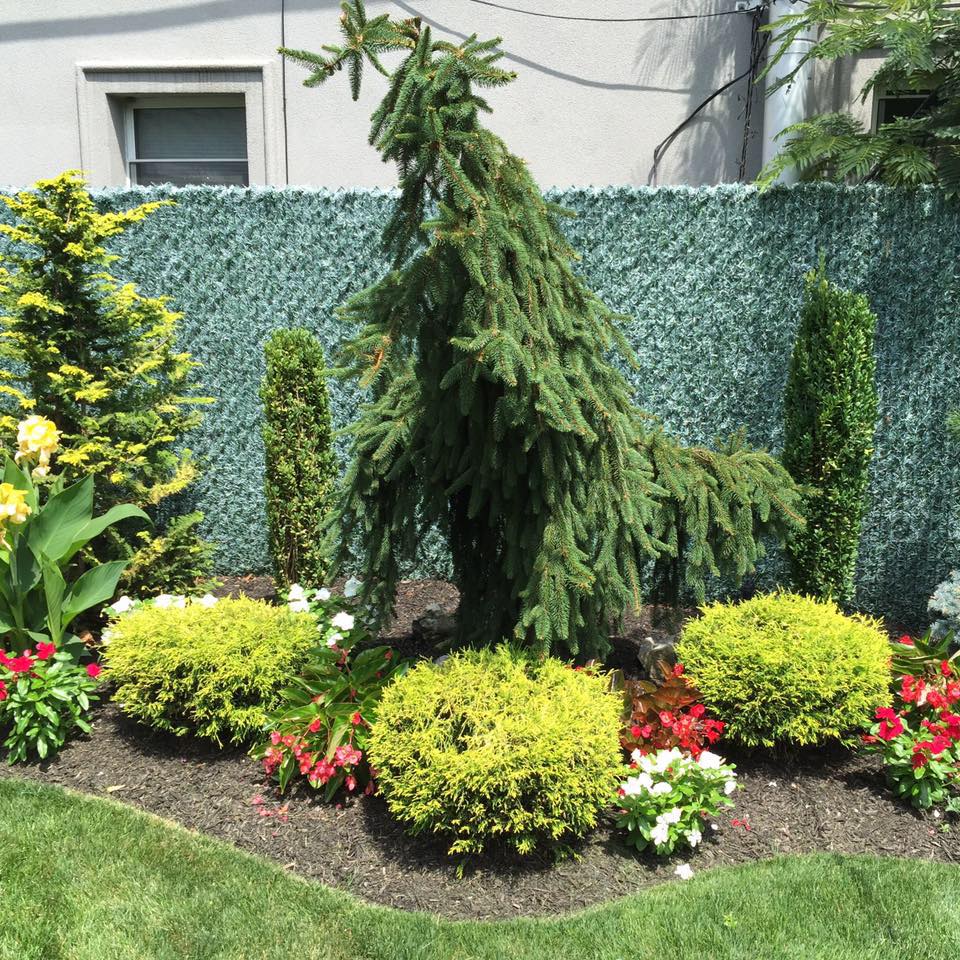 jr landscape